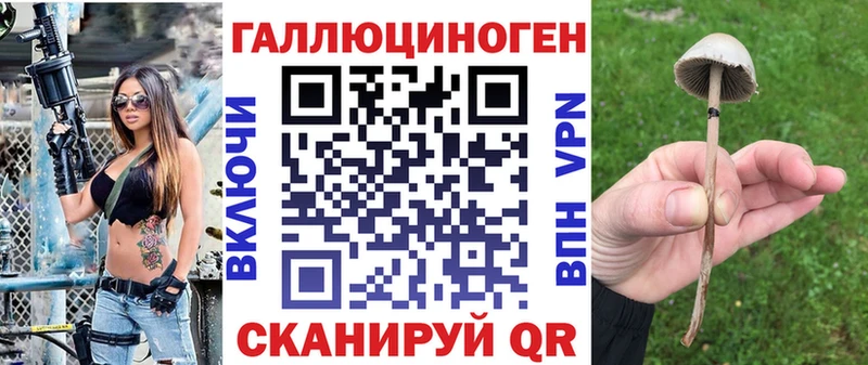 mega зеркало  купить  сайты  Невельск  Псилоцибиновые грибы мухоморы 