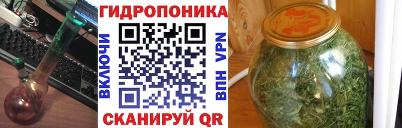 Каннабис планчик Невельск